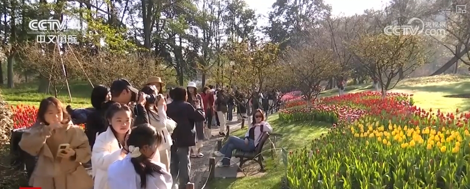 核驱动赋能入境游 中高端市场释放多元潜力澳门新葡京“数字+文化+影视+生态”多(图2)
